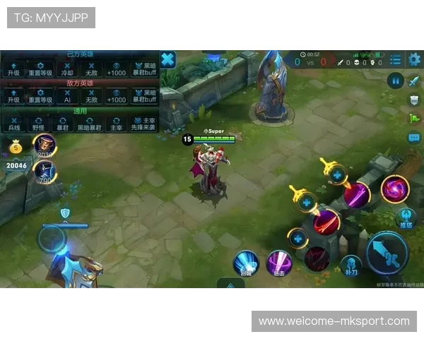 王者荣耀神级连招碾压敌方，213121王者连招